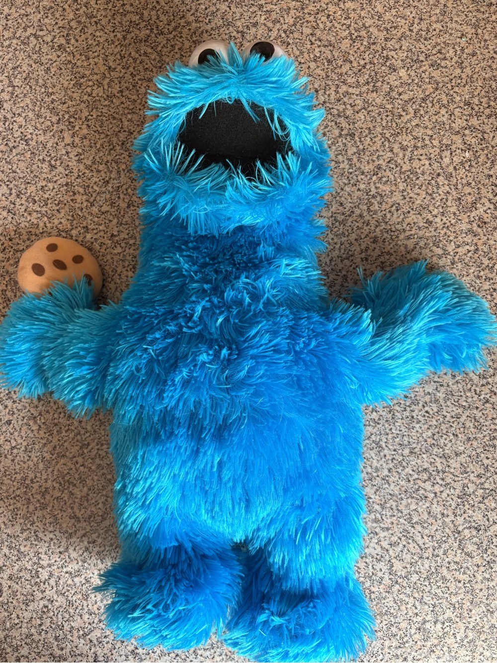 Vintage Fisher-Price Cookie Monster Stuffed Animal Puppet 2008